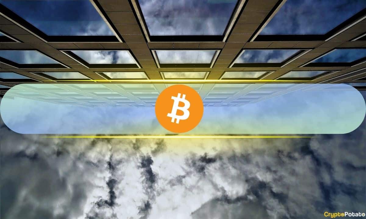 机构目睹比特币下跌 50%:然而 Bitwise 调查的 15 家投资者中无一家削减敞口配图