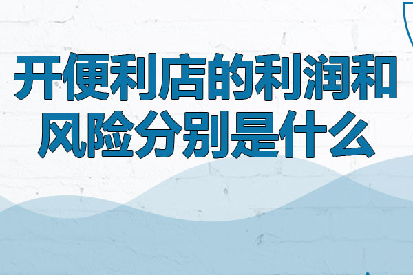 开便利店的利润和风险分别是什么